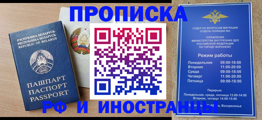пропишу в квартире в Гатчине